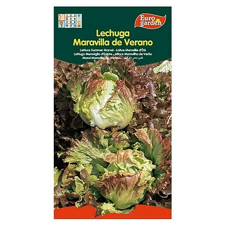 Euro Garden  Semillas de lechuga Maravilla verano