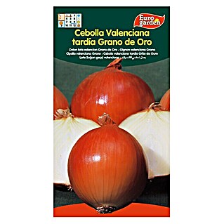 Euro Garden Bulbos de cebolla Valenciana Tardia (Cosecha: Agosto, 5 g)