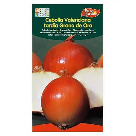 Euro Garden  Bulbos de cebolla Valenciana Tardia
