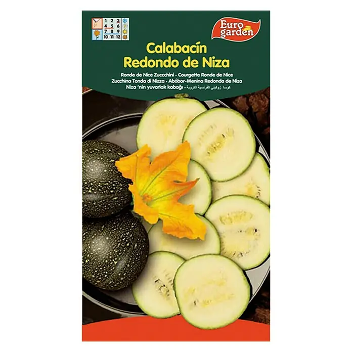 Euro Garden Semillas de vegetales Calabacín redondo de Niza - Cosecha: Junio - Paquete de semillas de "Calabacín Redondo de Niza", una variedad redonda de calabacín de Eurogarden.