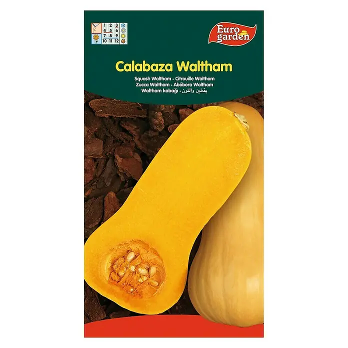 Euro Garden Semillas de vegetales Calabaza Waltham Butternut - Cosecha: Julio - Imagen de un paquete de semillas de calabaza 'Calabaza Waltham' de Euro garden, mostrando una calabaza cortada y una entera.
