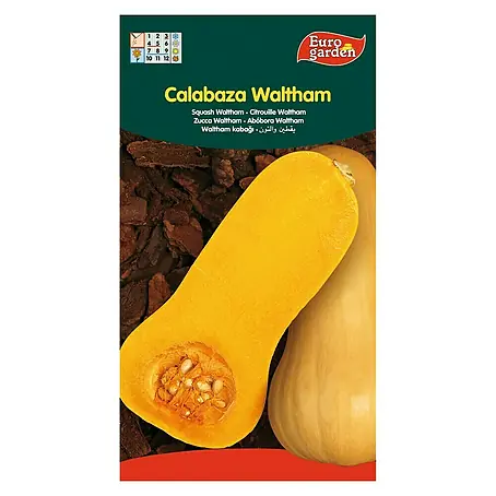 Euro Garden  Semillas de vegetales Calabaza Waltham Butternut