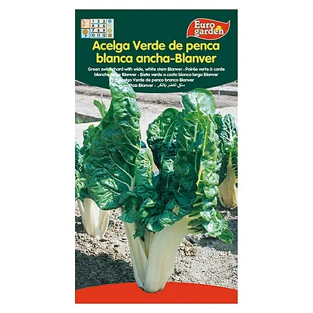 Euro Garden  Semillas de lechuga Verde de Penca Blanca