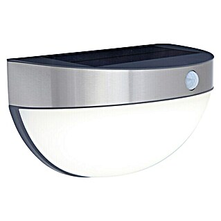Lutec Aplique solar LED para exterior con sensor (1,2 W, Acero inoxidable, Blanco neutro, Plateado)