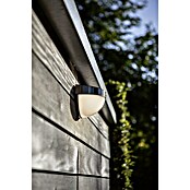 Lutec Aplique solar LED para exterior con sensor (Sensor, Acero inoxidable, Color de luz: Blanco neutro, Plateado)