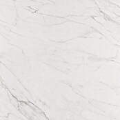 BHS Showroom Pavimento porcelánico Odyssey (60 x 60 cm, Blanco)