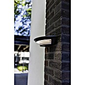 Lutec Aplique LED Ghost (7 W, 220 V - 240 V, IP54) | BAUHAUS
