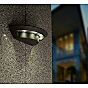 Lutec Aplique LED Ghost (7 W, 220 V - 240 V, IP54) | BAUHAUS