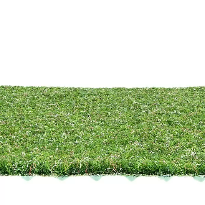 Rasenteppich Meterware Green - Breite: 200 cm, Jägergrün, Mit Drainagenoppen - Detailaufnahme