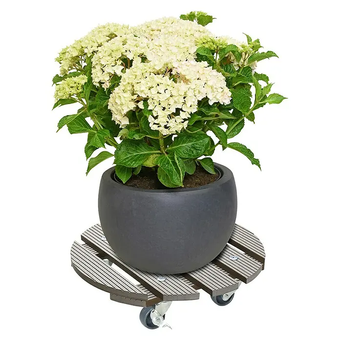 Wagner System Pflanzenroller - WPC, Taupe, Max. Belastung: 100 kg - Blumentopf auf einem hölzernen Pflanzenroller mit Rädern, ideal für den flexiblen Einsatz im Haus.