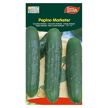 Euro Garden  Semillas de vegetales Pepino Marketer