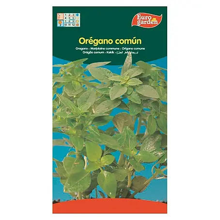 Euro Garden  Semillas de hierbas Orégano común