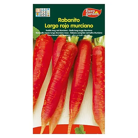 Euro Garden  Semillas de vegetales Rabanito Largo Murciano