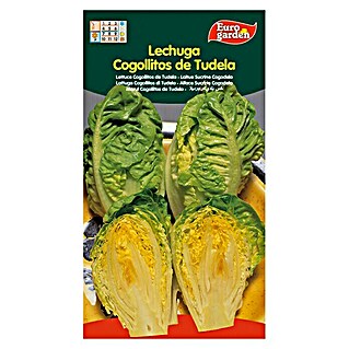 Euro Garden Semillas de lechuga Cogolitos de Tuleda (Cosecha: Durante todo el año, 5 g)