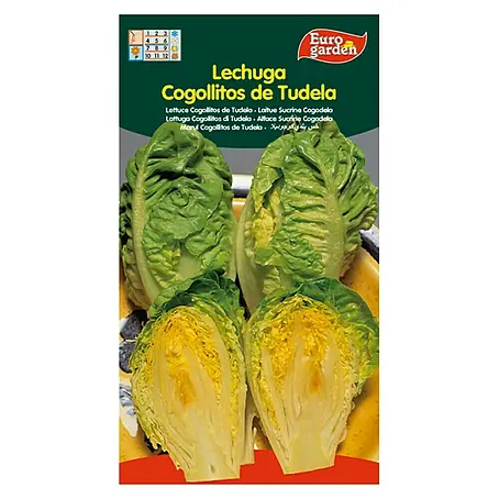 Euro Garden  Semillas de lechuga