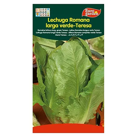 Euro Garden  Semillas de lechuga Romana
