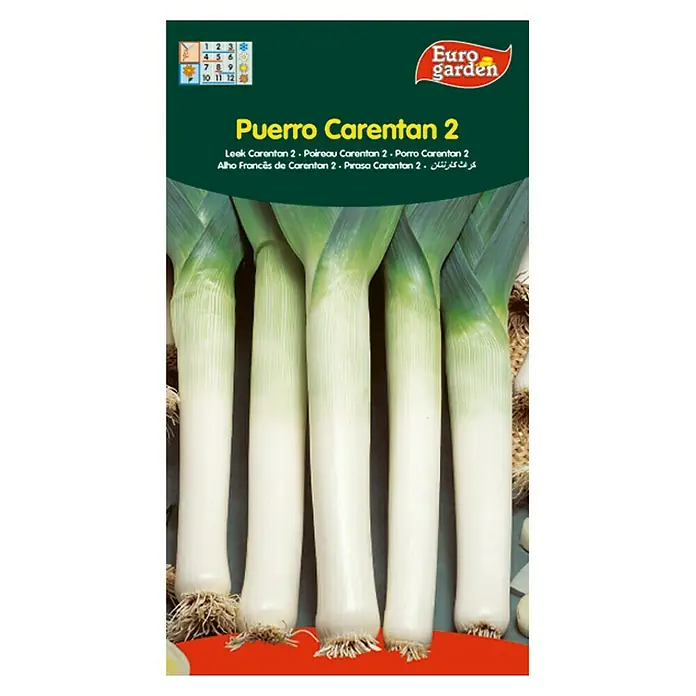Euro Garden Semillas de vegetales Puerro carentan - Cosecha: Junio - Paquete de semillas de puerros "Puerro Carentan 2", que muestra información del producto y una imagen de las plantas maduras.