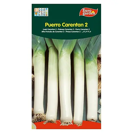 Euro Garden  Semillas de vegetales Puerro carentan