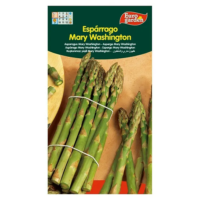 Euro Garden Semillas de vegetales Espárrago Mary Washington - Cosecha: Marzo - Paquete de semillas de espárrago "Espárrago Mary Washington". Ideal para cultivar espárragos verdes frescos en el jardín.