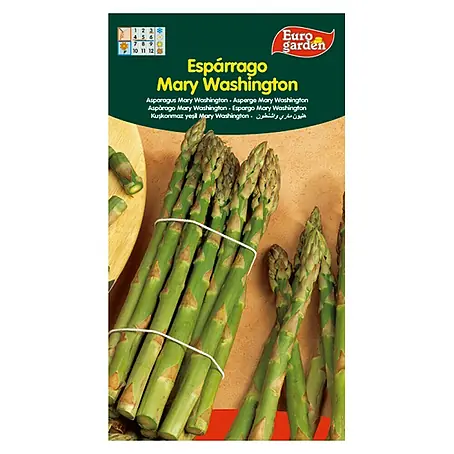 Euro Garden  Semillas de vegetales Espárrago Mary Washington