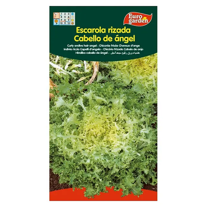 Euro Garden Semillas de lechuga Rizada cabello de ángel - Cosecha: Septiembre, 5 g - Imagen de un paquete de semillas de Escarola Rizada Cabello de Ángel de Euro Garden.