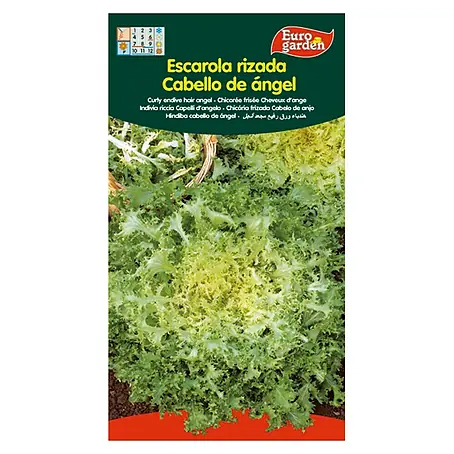 Euro Garden  Semillas de lechuga Rizada cabello de ángel