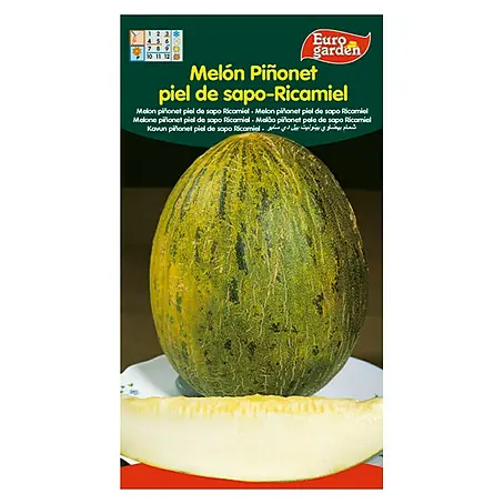 Euro Garden  Semillas de vegetales Melón piel de sapo Ricamiel