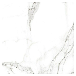 BHS Showroom Pavimento porcelánico Palatina Mate (60 x 60 cm, Blanco Carrara, Mate)