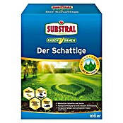 Substral Rasensamen Schattig (2 kg, Inhalt ausreichend für ca.: 100 m²)