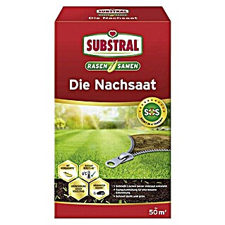 Substral Nachsaat-Rasen (1 kg, 50 m²)
