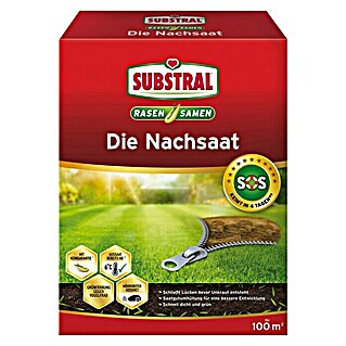 Substral Nachsaat-Rasen (2 kg)