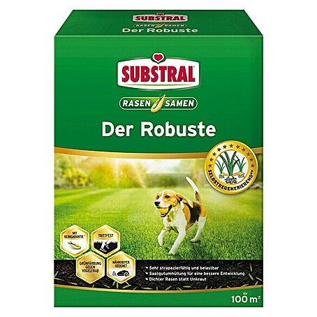 Substral Rasensamen Der Robuste (2 kg, Saatgut ausreichend für: 100 m²)