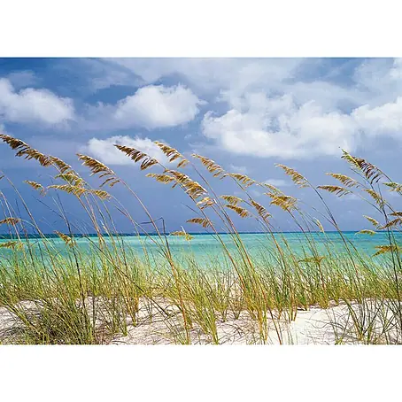 Komar  Fototapete Ocean Breeze