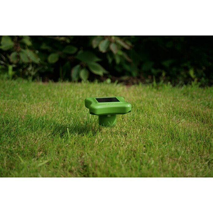 Gardigo Wühlmaus- & Maulwurfschreck (Wirkungsbereich: 700 m², Frequenz: 400 Hz, Grün)