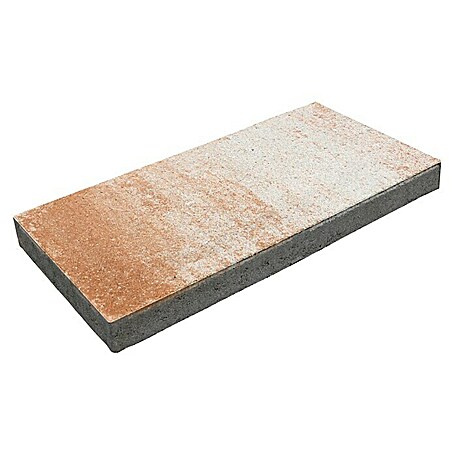 EHL Terrassenplatte Protect (60 x 30 x 5 cm, Sandstein nuanciert, Beton)