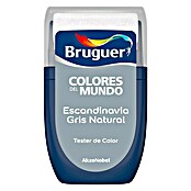 Bruguer Colores del Mundo Tester de pintura Escandinavia gris natural (30 ml, Mate)