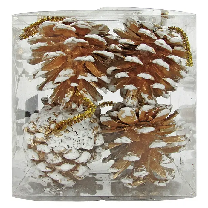Dekoartikel Zapfen Gold/Weiß - Holz/Zweige, Höhe: 4 cm - Detailaufnahme von vier goldenen Tannenzapfen mit weißem Akzent in einer transparenten Box, umwickelt mit goldenem Lametta.