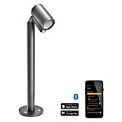 Steinel Proyector de LED (Antracita, L x An x Al: 226 x 140 x 572 mm, IP44)