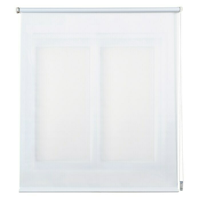 Estor enrollable Clip&Fix (An x Al: 150 x 180 cm, Blanco nieve, Traslúcido)