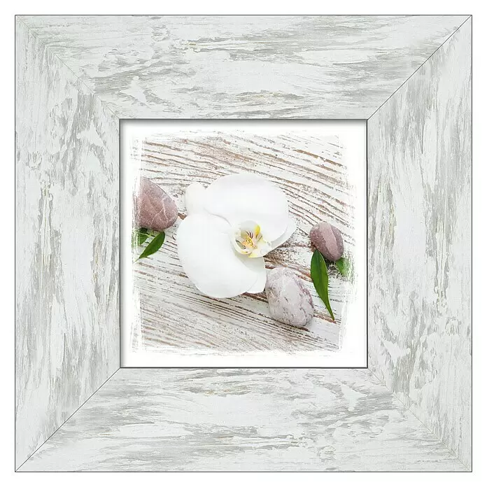 ProArt Bild New Classic Wood - Weiße Blume I, B x H: 34 x 34 cm - Vorderansicht