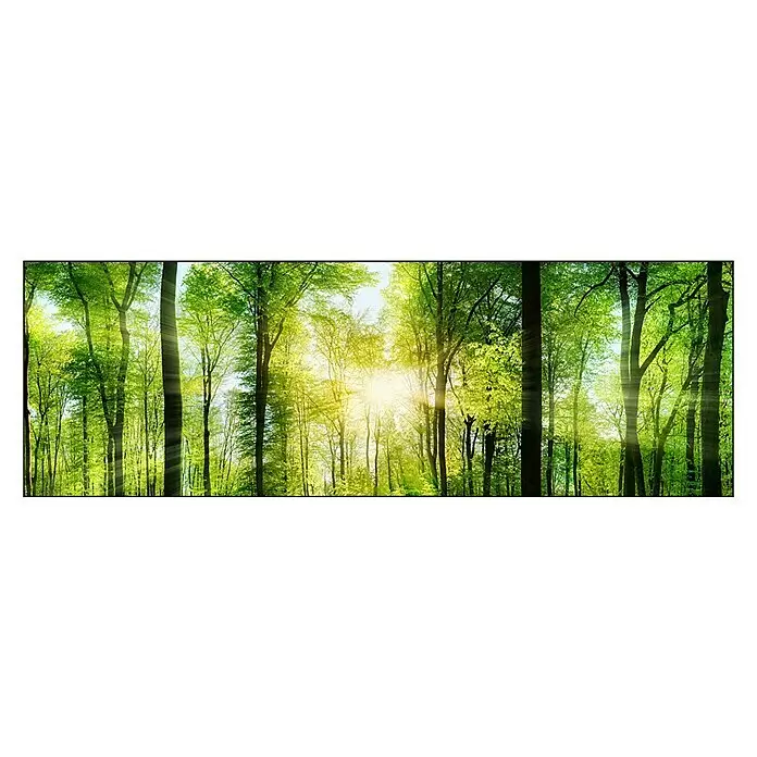 ProArt Leinwandbild - Forest Feeling, B x H: 180 x 60 cm - Vorderansicht