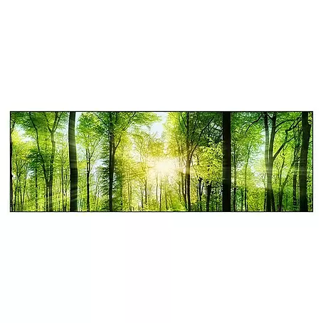 ProArt  Leinwandbild