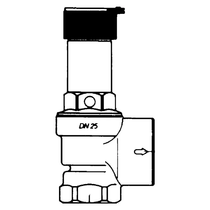Sicherheitsventil Saco - ½″ x ¾″, Betriebsdruck: 6 bar - Abbildung eines DN 25-Ventils mit schwarzer Kappe, das in Rohrleitungssystemen zur Durchflusskontrolle verwendet wird.