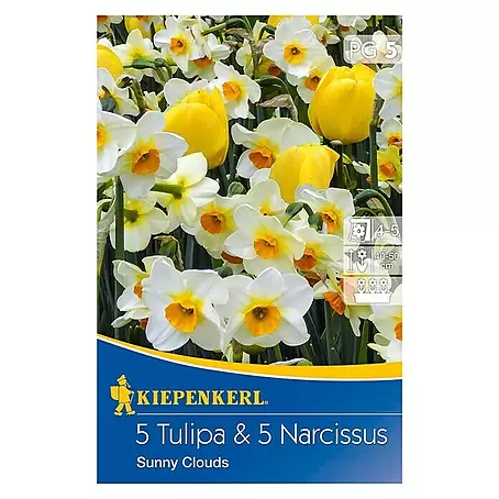 Kiepenkerl  Frühlingsblumenzwiebeln 5 Tulpen & 5 Narzissen