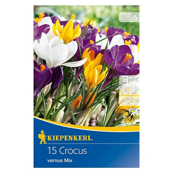 Kiepenkerl Bulbes de fleurs printanières Crocus mélange