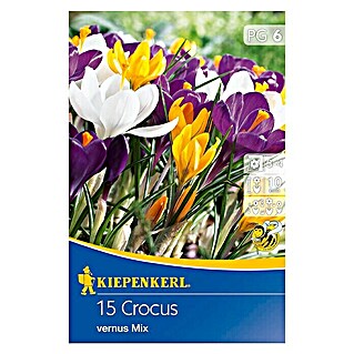 Kiepenkerl Frühlingsblumenzwiebeln Krokus Mix (Crocus vernus, 15 Stk.)