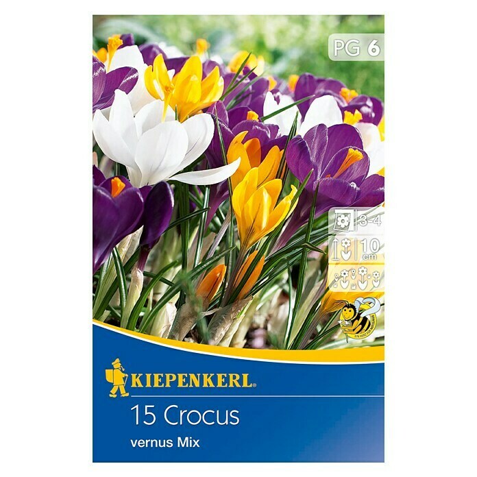 Kiepenkerl Frühlingsblumenzwiebeln Krokus MixCrocus vernus, 15 Stk. Front View