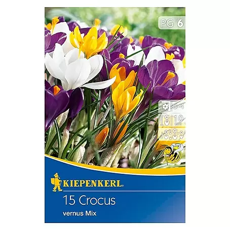 Kiepenkerl  Frühlingsblumenzwiebeln Krokus Mix