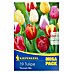 Kiepenkerl Frühlingsblumenzwiebel-Mix Tulpen Triumph -Mix 