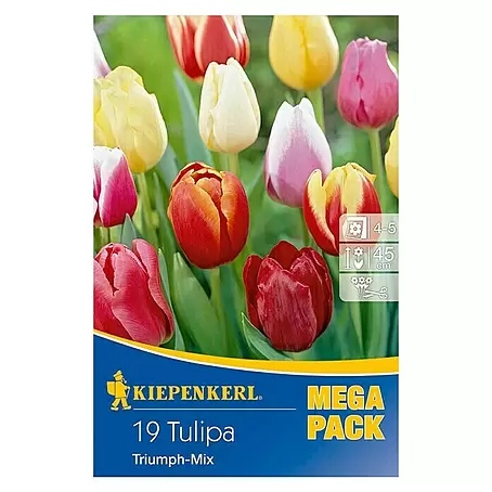 Kiepenkerl  Frühlingsblumenzwiebel-Mix Tulpen Triumph -Mix